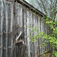 Bild_0003