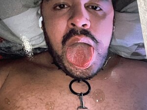 Bilder von Sam